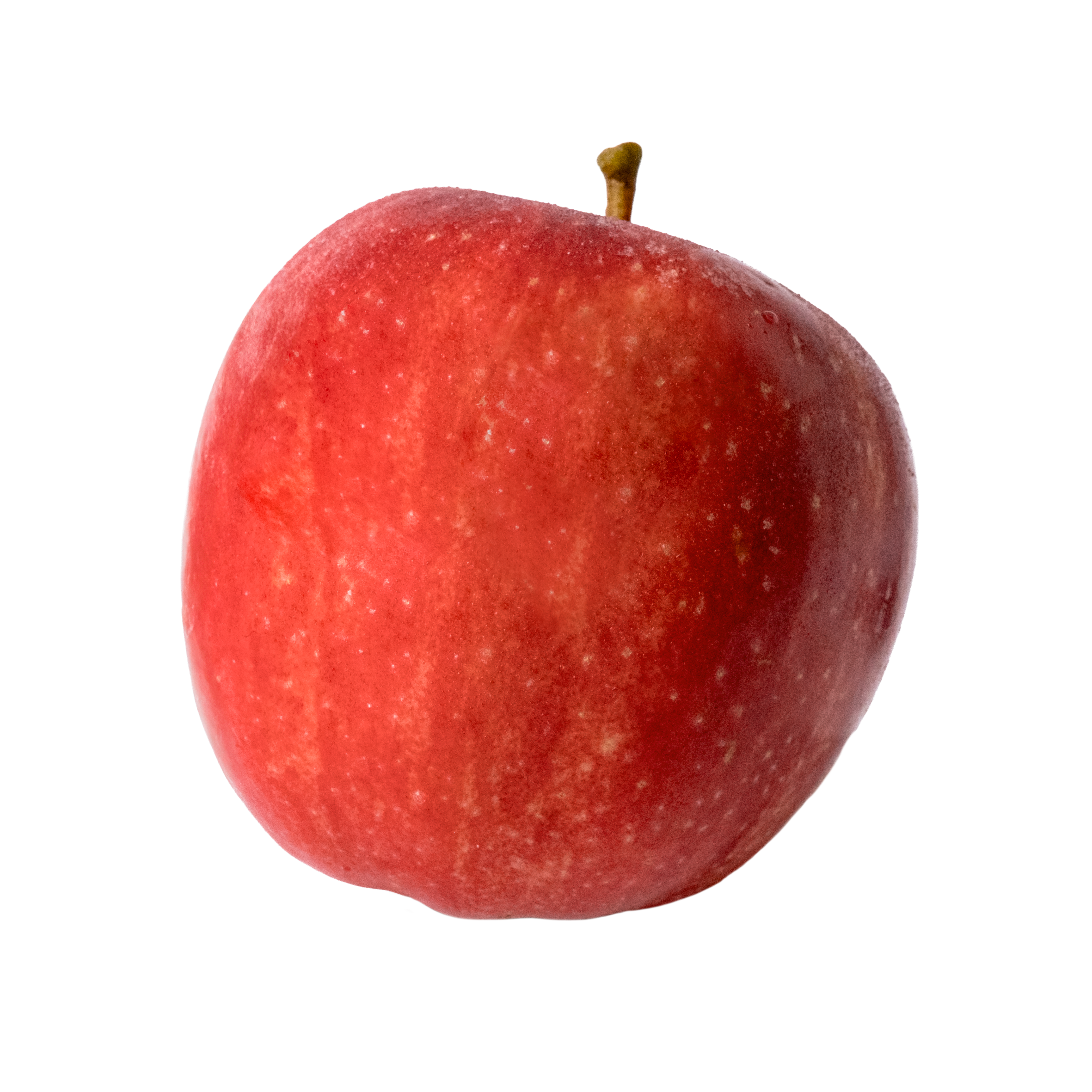 cultivo de maçãs